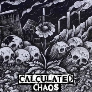 CALCULATED CHAOS - ST
